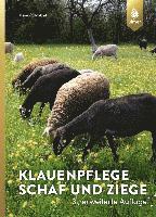 Klauenpflege Schaf und Ziege 1