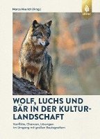 bokomslag Wolf, Luchs und Bär in der Kulturlandschaft