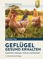 bokomslag Geflügel gesund erhalten