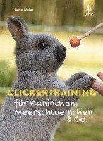 bokomslag Clickertraining für Kaninchen, Meerschweinchen & Co.