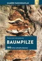 bokomslag Baumpilze