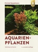 bokomslag Aquarienpflanzen