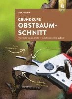 bokomslag Grundkurs Obstbaumschnitt