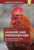 Taschenatlas Hühner und Zwerghühner