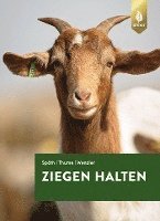 Ziegen halten 1