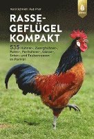 Rassegeflügel kompakt 1