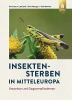bokomslag Insektensterben in Mitteleuropa