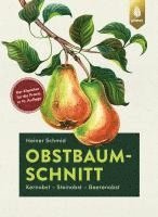 bokomslag Obstbaumschnitt