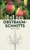 bokomslag 1 x 1 des Obstbaumschnitts