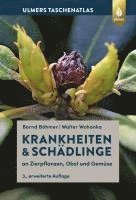Krankheiten & Schädlinge an Zierpflanzen, Obst und Gemüse