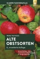 bokomslag Alte Obstsorten