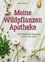 bokomslag Meine Wildpflanzen-Apotheke