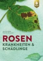 Rosenkrankheiten und Schädlinge 1