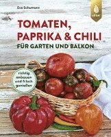 bokomslag Tomaten, Paprika & Chili für Garten und Balkon