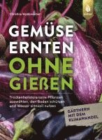 bokomslag Gemüse ernten ohne gießen