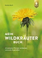 bokomslag Mein Wildkräuterbuch