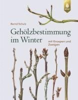 bokomslag Gehölzbestimmung im Winter