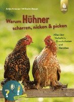 bokomslag Warum Hühner scharren, nicken und picken