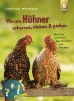 Warum Hühner scharren, nicken und picken 1