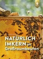 bokomslag Natürlich imkern in Großraumbeuten