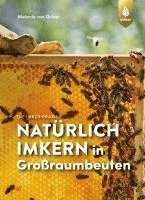 Melanie von Orlow - Natürlich imkern in Großraumbeuten, Häftad
