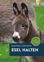 Esel halten 1