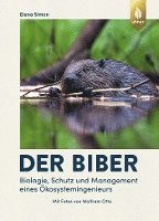 Elena Simon - Der Biber, Inbunden