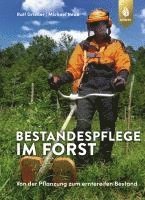 Bestandespflege im Forst 1