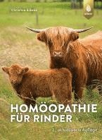 bokomslag Homöopathie für Rinder