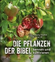 bokomslag Die Pflanzen der Bibel