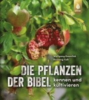 bokomslag Die Pflanzen der Bibel