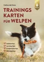 Trainingskarten für Welpen 1