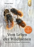 bokomslag Vom Leben der Wildbienen