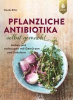 bokomslag Pflanzliche Antibiotika selbst gemacht