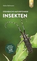 bokomslag Steinbachs Naturführer Insekten