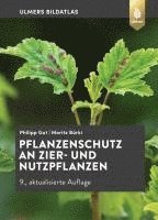 bokomslag Pflanzenschutz an Zier- und Nutzpflanzen