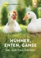 Hühner, Enten, Gänse im Garten halten 1