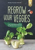 Regrow your veggies 1