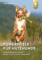 bokomslag Powerspiele für Hütehunde