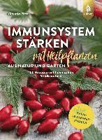 bokomslag Immunsystem stärken mit Heilpflanzen aus Natur und Garten