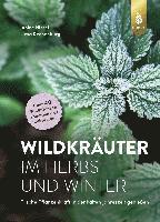 Wildkräuter im Herbst und Winter