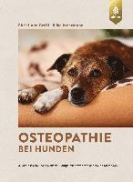 bokomslag Osteopathie bei Hunden