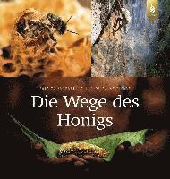 Éric Tourneret, Sylla de Saint Pierre - Die Wege des Honigs, Inbunden