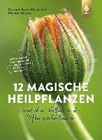 12 magische Heilpflanzen 1