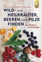 bokomslag Wild- und Heilkräuter, Beeren und Pilze finden