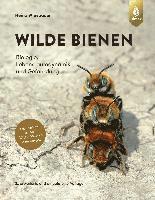 bokomslag Wilde Bienen