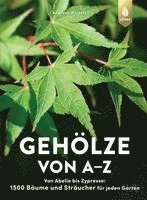 bokomslag Gehölze von A-Z