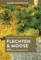 Volkmar Wirth, Ruprecht Düll, Steffen Caspari - Flechten und Moose, Inbunden