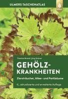 Gehölzkrankheiten 1