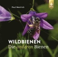 bokomslag Wildbienen, die anderen Bienen